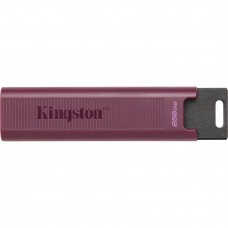 Накопичувач Kingston 256GB USB 3.2 Type-A Gen 2 DT Max