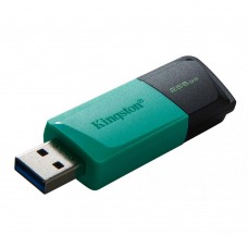 Накопичувач Kingston 256GB USB 3.2 Type-A Gen1 DT Exodia M