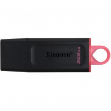 Накопичувач Kingston 256GB USB 3.2 Type-A Gen1 DT Exodia